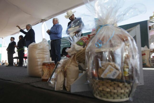 La inclusión productiva, vía para la justicia social en el campo mexicano: María Luisa Albores González