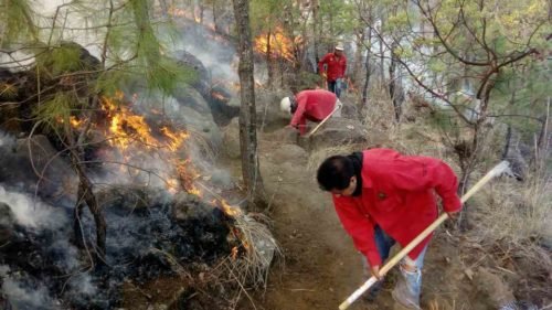 Controlan incendio forestal en Valle de Bravo