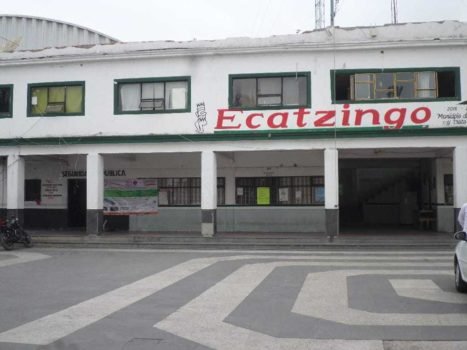 Alcaldesa de Ecatzingo asegura que manifestación de anoche fue orquestada por taladores clandestinos