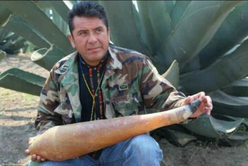 Maguey y pulque, parte de la riqueza cultural de Ixtapaluca