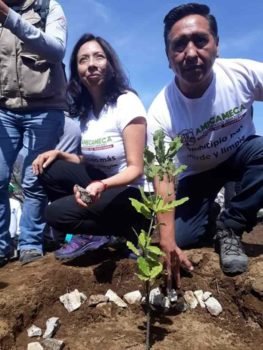 Gobierno de Amecameca reforesta el Sacromonte