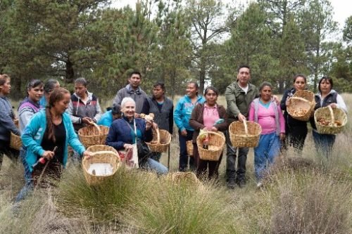 Feria del hongo es organizada por el gobierno de Amecameca
