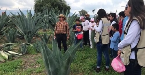 Expone Ixtapaluca cultura y tradición con cursos de verano “turisteando”