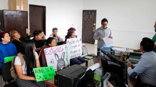 Atiende Presidente Municipal Miguel Ángel Salomón Cortés a protectores de animales