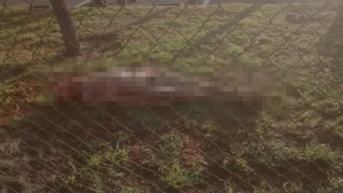 Cadáver de un hombre es abandonado en estacionamiento en Valle de Chalco.