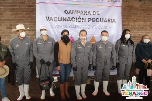 En Tenango del Aire se realiza jornada de vacunación pecuaria
