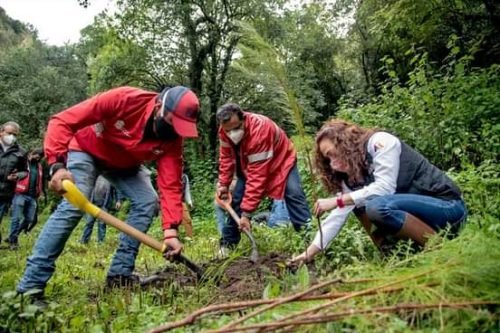 Arranca proyecto de la CAEM “conservación de suelo y agua” en la región de los volcanes 