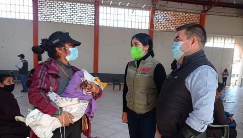 Realizan primera jornada de estirilización  2021 en Tenango del Aire