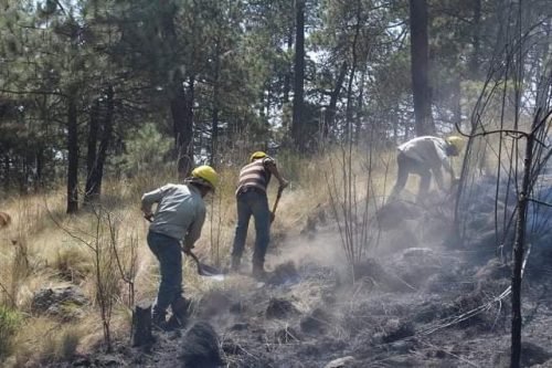 Zonas boscosas de Ixtapaluca son monitoreadas para prevenir incendios