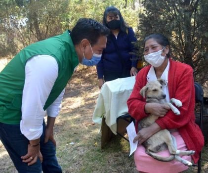 Realizan la 8ta Campaña Gratuita de Esterilización Canina y Felina en Amecameca