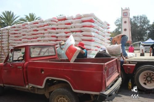 Entregan fertilizante a productos de Tenango del Aire