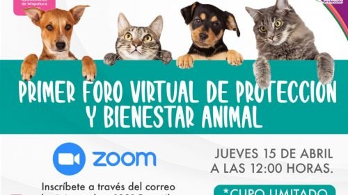 Realizarán Primer Foro virtual de Protección y Bienestar Animal en Ixtapaluca