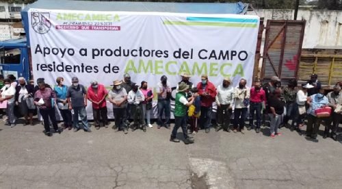 257 campesinos Amecamequenses fueron beneficiados con la entrega de fertilizante