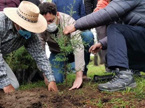 Realizan campaña de reforestación y forestación en Ozumba