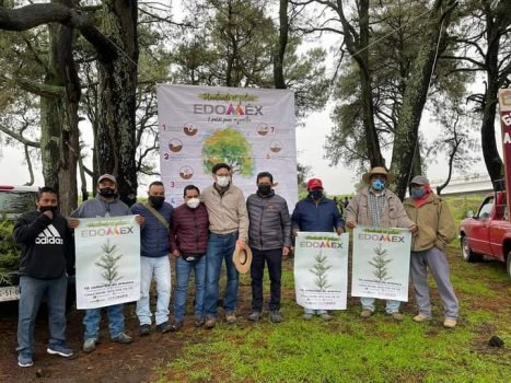 Trabajos de reforestación y forestación 2021 en Ozumba son de gran impacto ambiental ante los estragos de los incendios