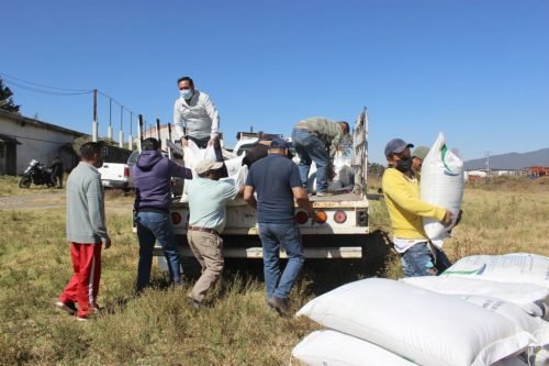 Llevan a cabo Segunda Entrega de Fertilizante Gratuito en Amecameca