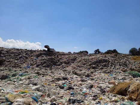 Encuentran más de 100 perros muertos en la Laguna de Lixiviados del relleno sanitario de Amecameca