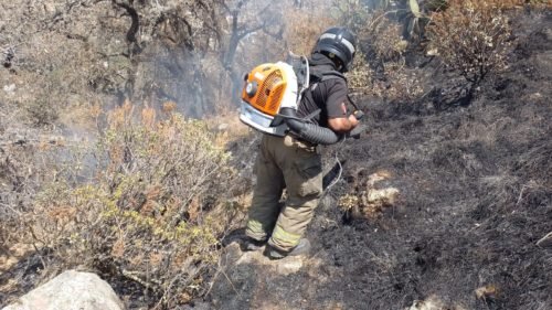 Bomberos de Texcoco sofocan incendios en el Tezcutzingo