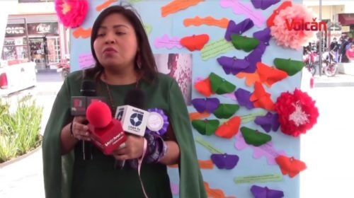 Seguiré luchando por la igualdad de géneros: Anais Burgos 