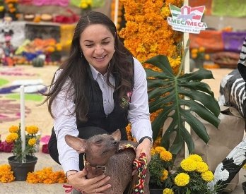 Amecameca celebra con entusiasmo su segundo desfile de La Catrina: Traiciones y Cultura para Todos en 2023