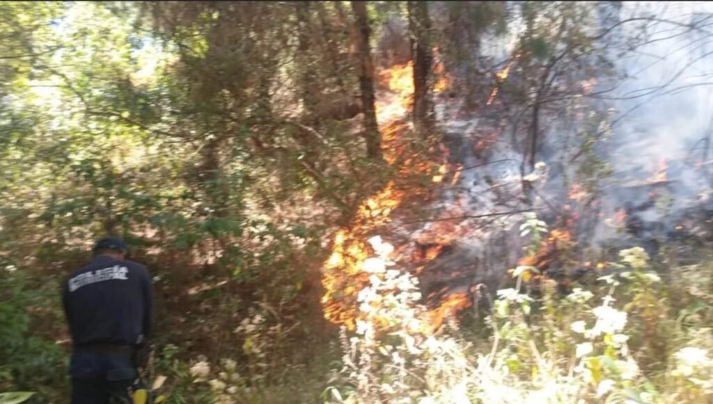 Incendio Forestal Ecatzingo