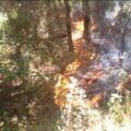 Incendio Forestal Ecatzingo