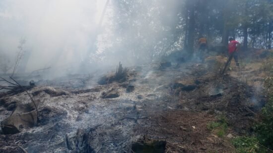Incendio en Ecatzingo